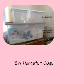 Hamster_bin_cage